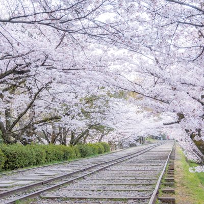 🌸 케아게 인클라인